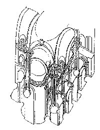 schema cappella